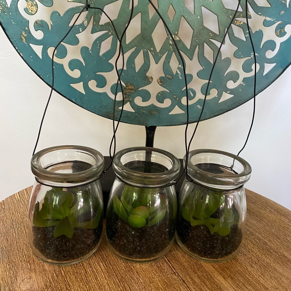 Set of 3 faux succulents in glass jars
